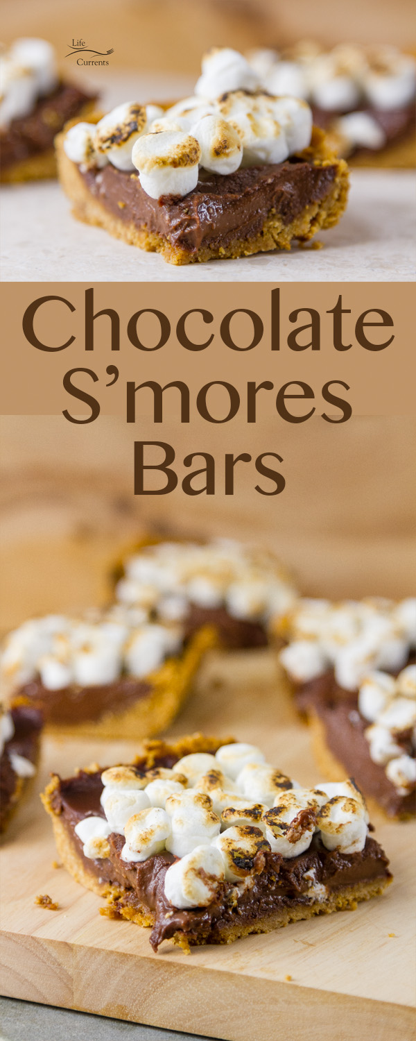 chocolate s"mores bars