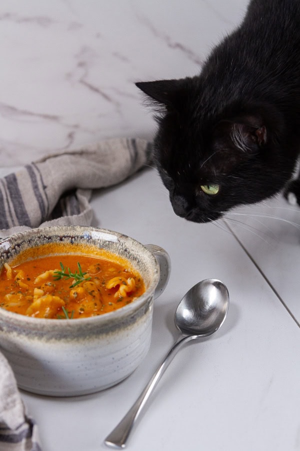 a black cat looking at a cup of soup.