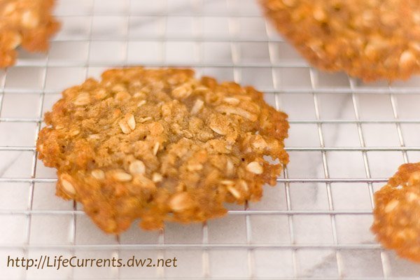 Holiday Cookies and homemade goodies that include some with no flour (Gluten-free), some are dairy free, low-sugar, high fiber, vegan, unprocessed, and lots of healthier homemade gift options | Life Currents https://lifecurrentsblog.com