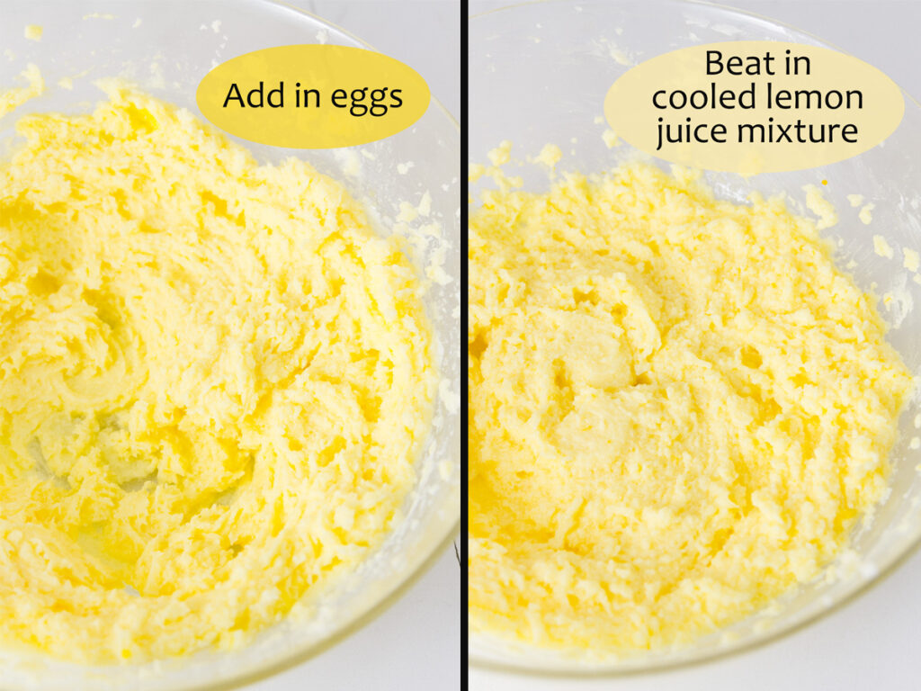 process shots for making lemon cookies