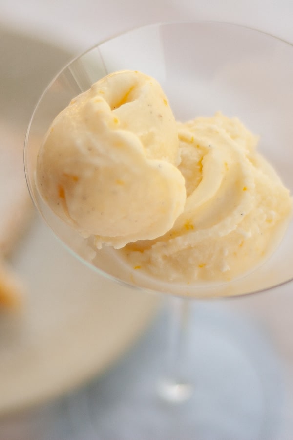 sherbet in a martini glass.