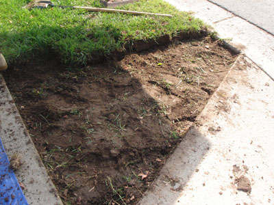 frontyard parkway xeriscaping (drought tolerant) during Xeriscaping... Parkway complete