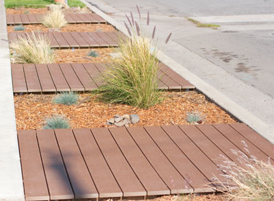 frontyard parkway xeriscaping (drought tolerant) complete Xeriscaping... Parkway complete