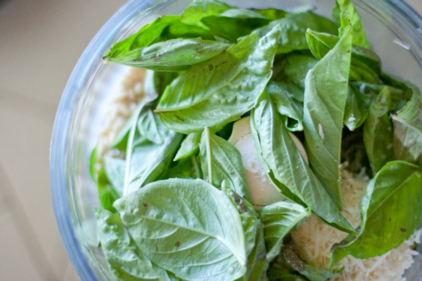 pesto ingredients in the food processor.
