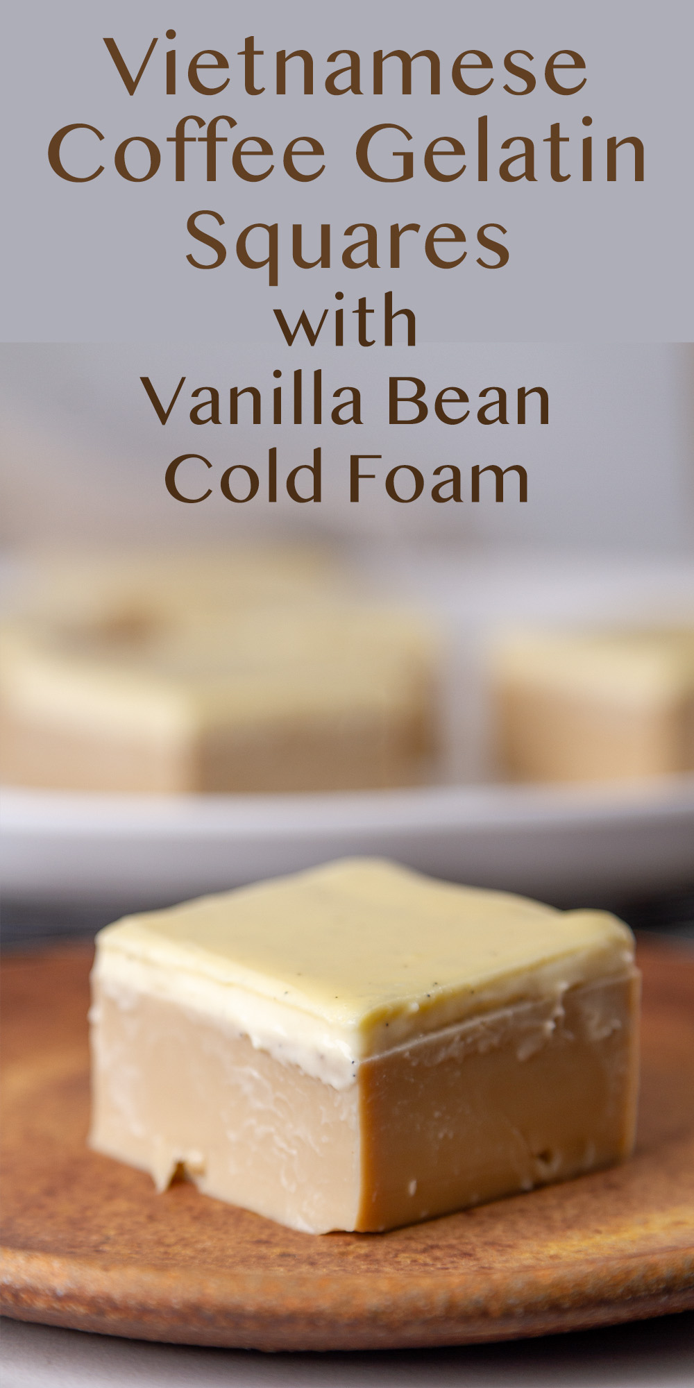 a Vietnamese Coffee Gelatin Square on a brown plate in front of the serving plate of more squares.