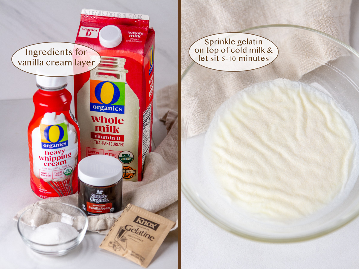 cold foam topper ingredients on left and gelatin sprinkled over cream on right.