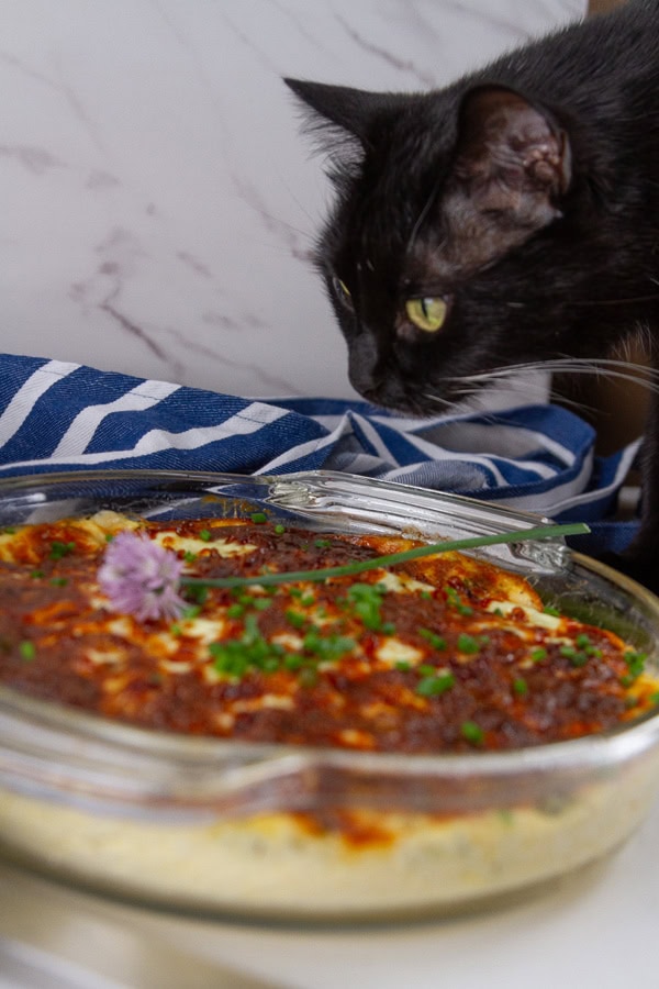 a black cat looking at a quiche in a pan.