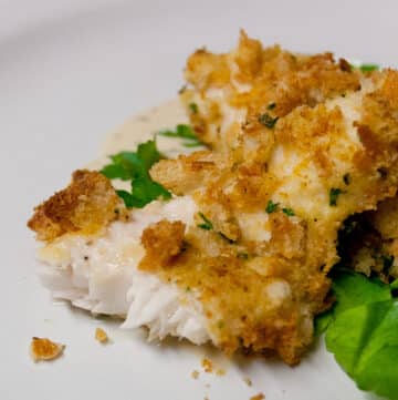 a breaded piece of baked catfish on a plate with fresh herbs.