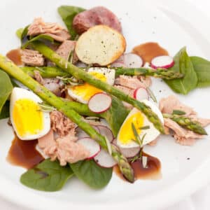 square crop of a tuna and asparagus salad on a white plate.