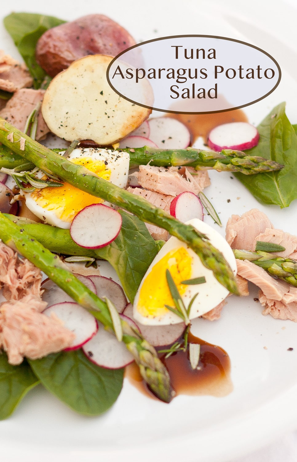 a salad with tuna asparagus boiled egg potato radishes and dressing on a white plate.