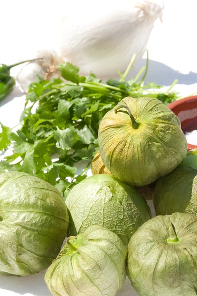 tomatillos, cilantro, a white onion, jalapenos, and salt.