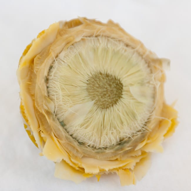 the choke of an artichoke - an artichoke cut open so you can see the inside.