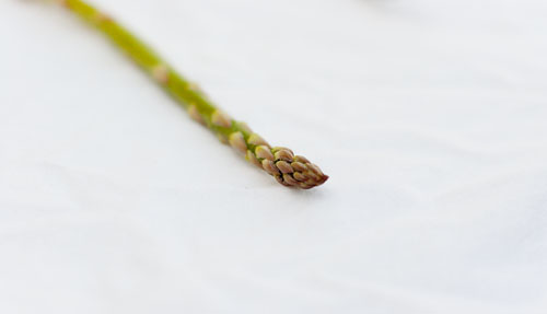 asparagus
