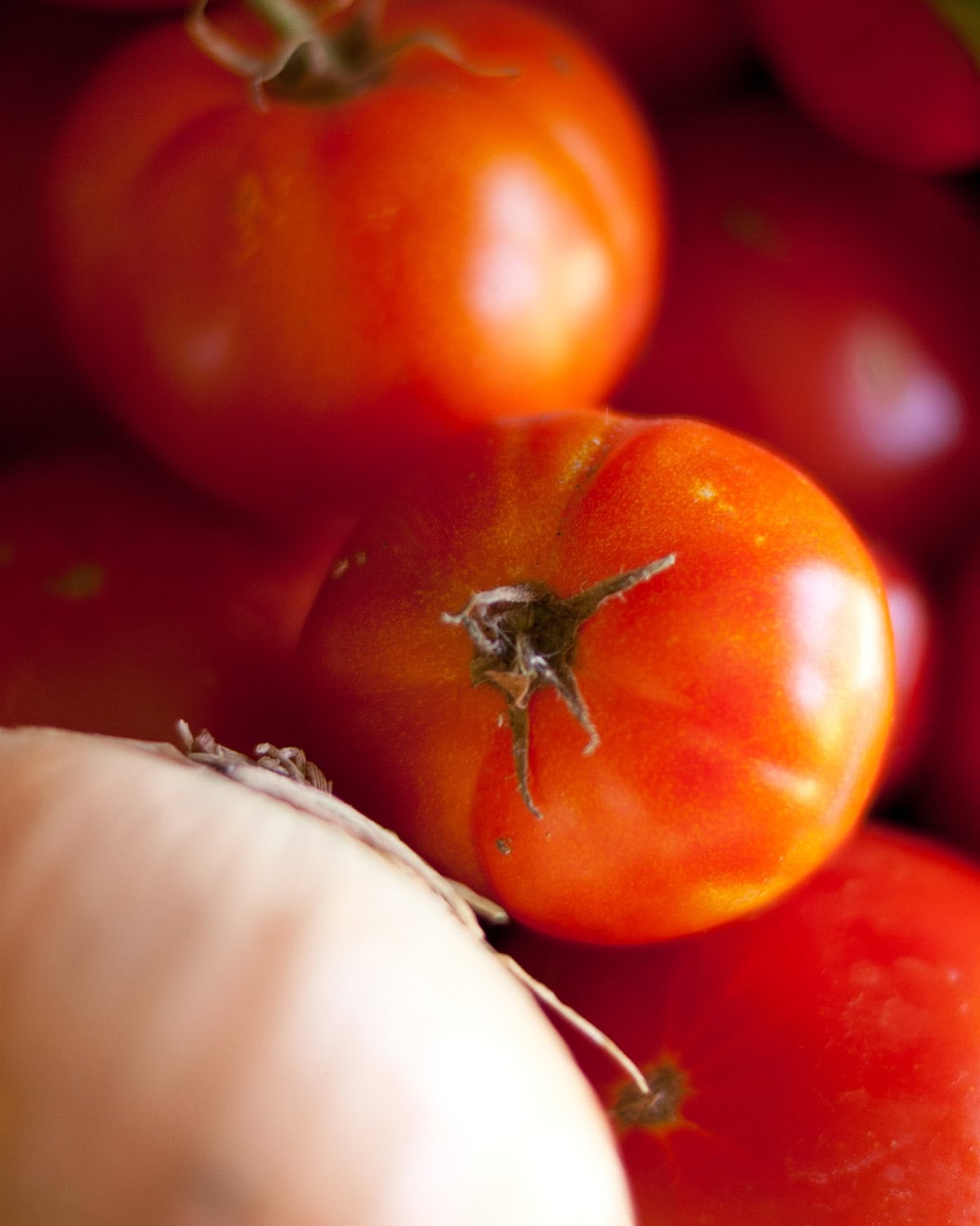tomatoes and onions in a pile.