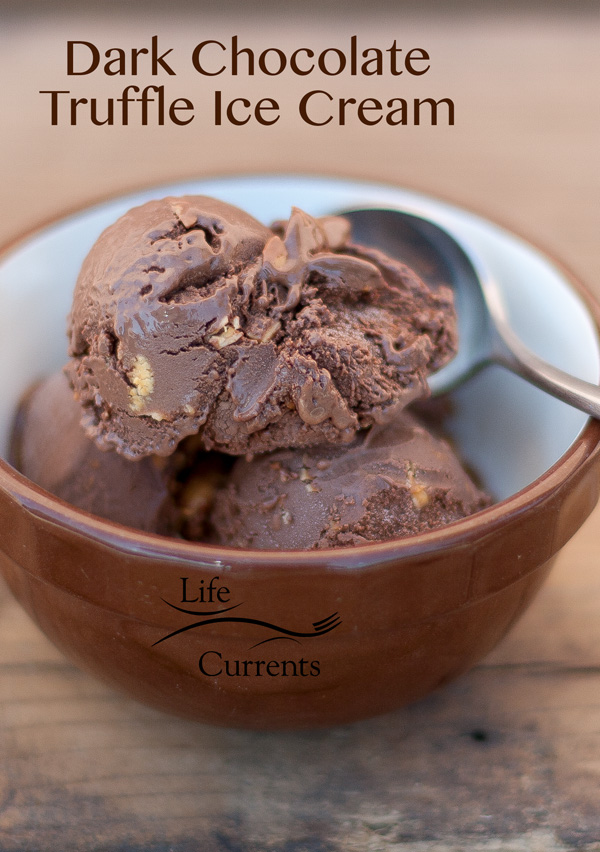 Dark Chocolate Truffle Ice Cream with Toasted Almonds