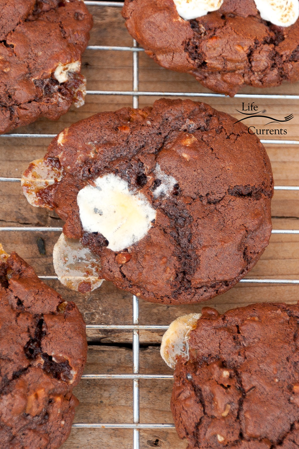 Rocky Road Cookies chocolaty good cookies packed with marshmallows and pecans. The classic flavor combination in a cookie! Rocky Road Cookies chocolaty good cookies packed with marshmallows and pecans. The classic flavor combination in a cookie!