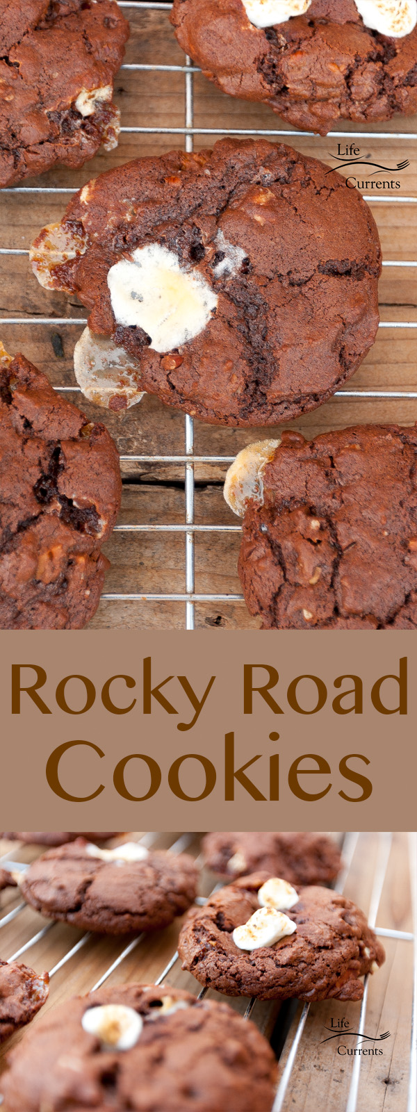 Rocky Road Cookies chocolaty good cookies packed with marshmallows and pecans. The classic flavor combination in a cookie!