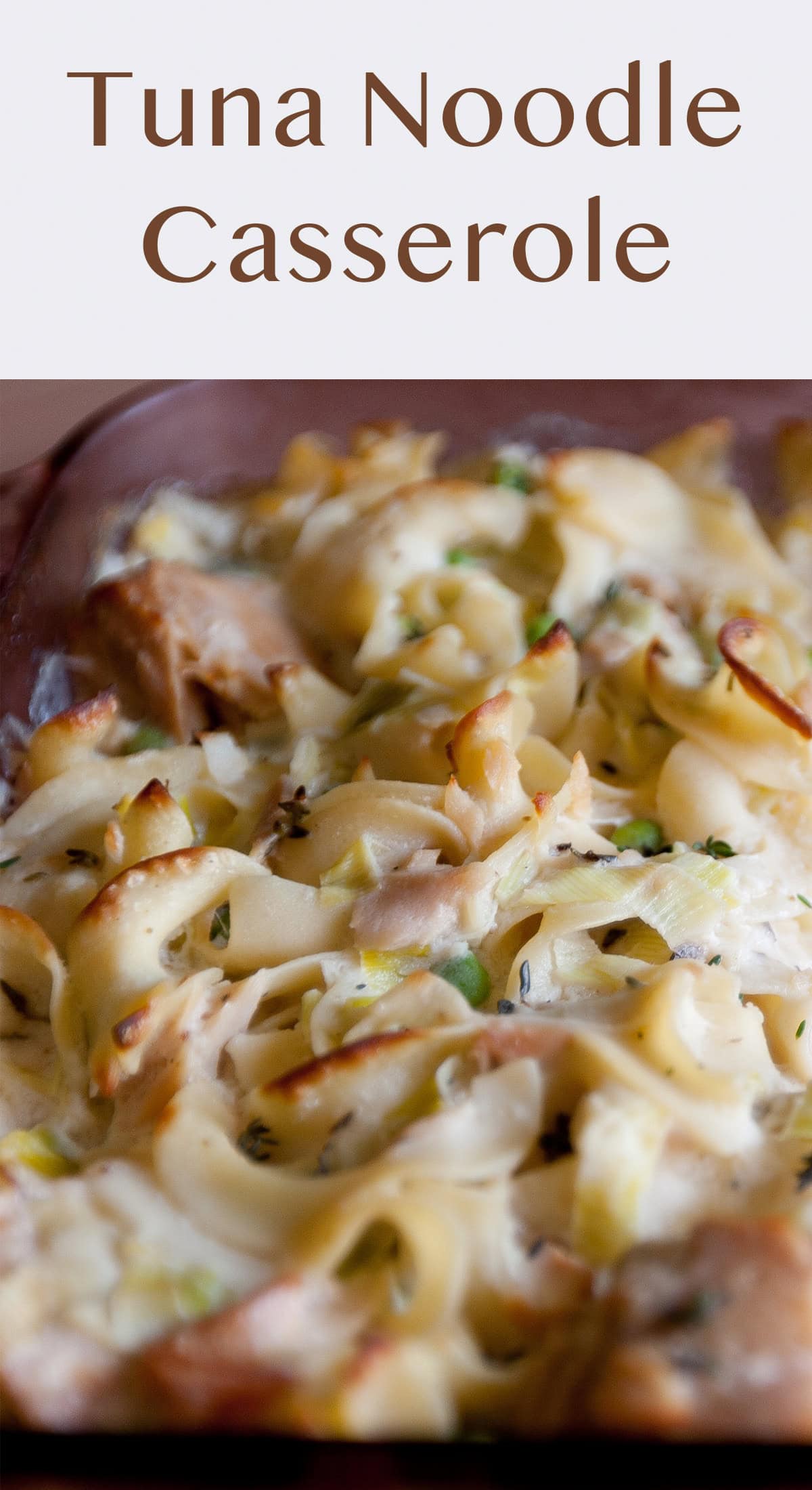 close up on baked casserole with tuna and noodles.