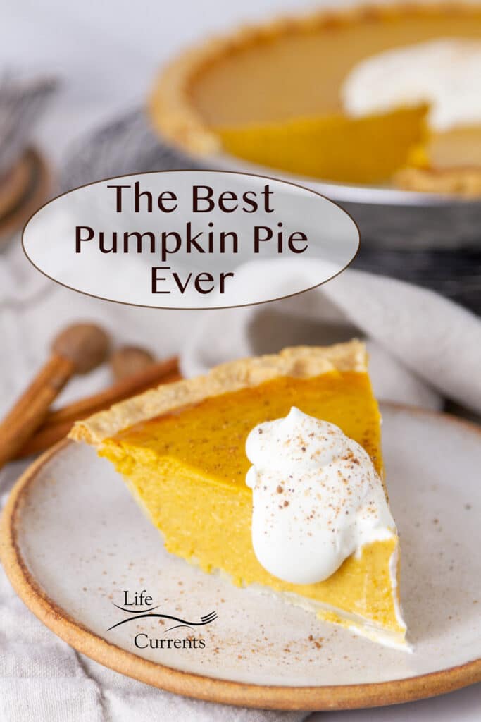 A slice of pumpkin pie with fresh whipped cream on top in front of the whole pie, title on left side: The Best Pumpkin Pie Ever.