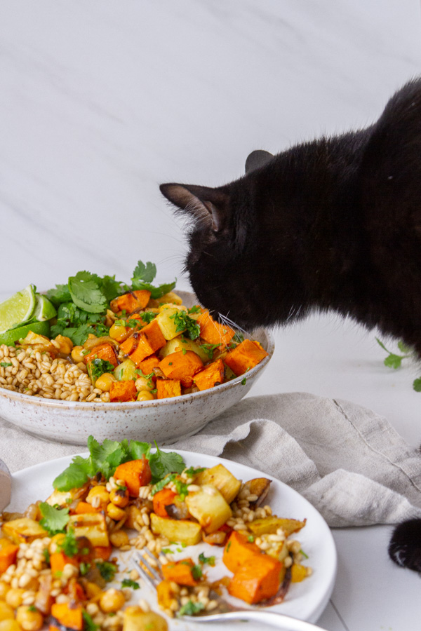 a black cat looking at veggies for dinner.