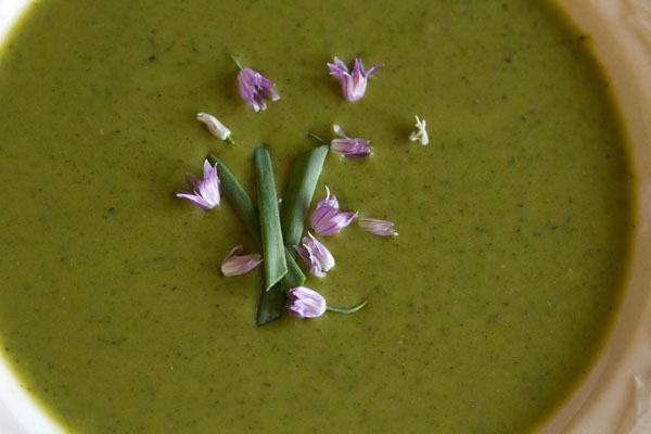 I've garnished the soup with some chives and chive flowers from the garden. The flowers have a sharp spicy flavor that goes well with the soup.