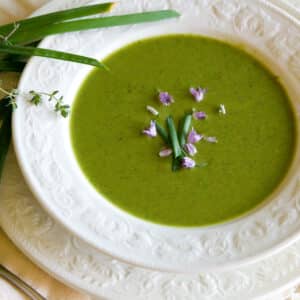 A bowl of soup that's really green in color in a white bowl and some fresh herbs around.