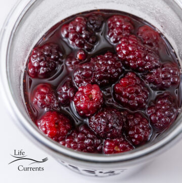 square crop of a jar filled with blackberries in syrup.