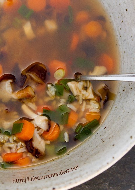Brown Rice Vegetable Soup is Vegan, gluten-free, tasty, and comforting. Just simple veggies and brown rice.Brown Rice Vegetable Soup 