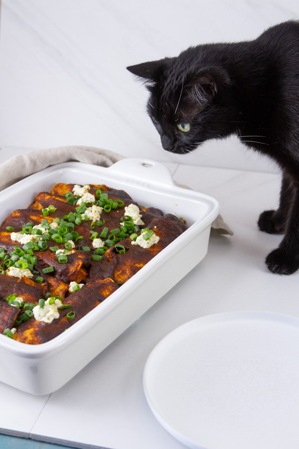 a black cat looking at a pan of vegetarian enchiladas.