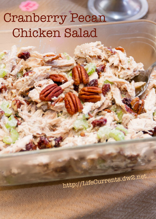 Cranberry Pecan Chicken Salad is perfect for any party! And it's really easy to make. https://lifecurrentsblog.com