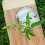 looking down into a glass filled with ice and a drink and garnished with lemon verbena leaves.