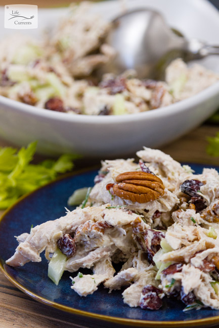 Cranberry Pecan Chicken Salad Recipe - easy - delicious - budget-friendly 