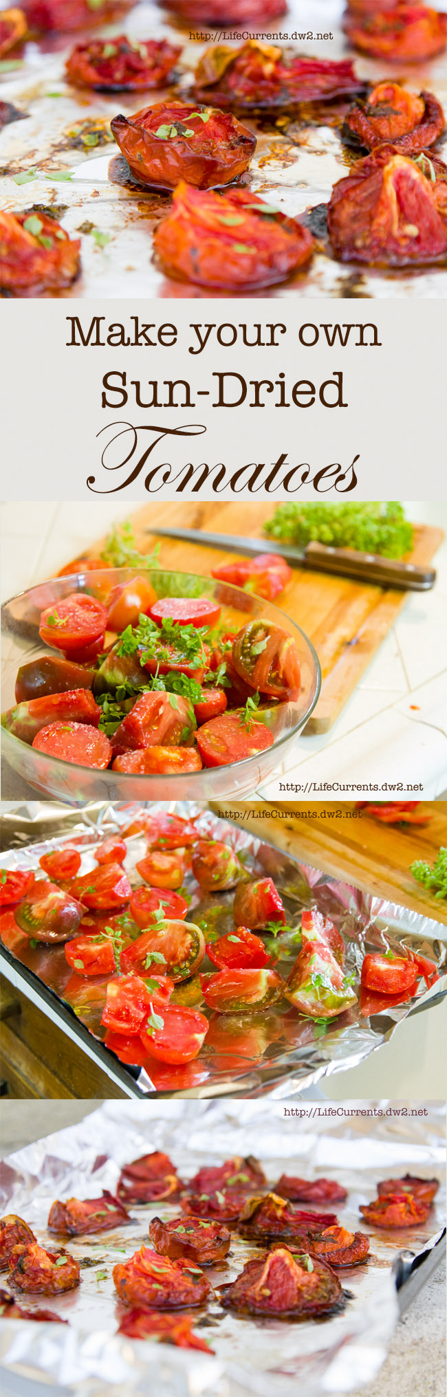 Preserving Summer: Sun Dried (Oven Roasted) Tomatoes recipe budget friendly and delicious