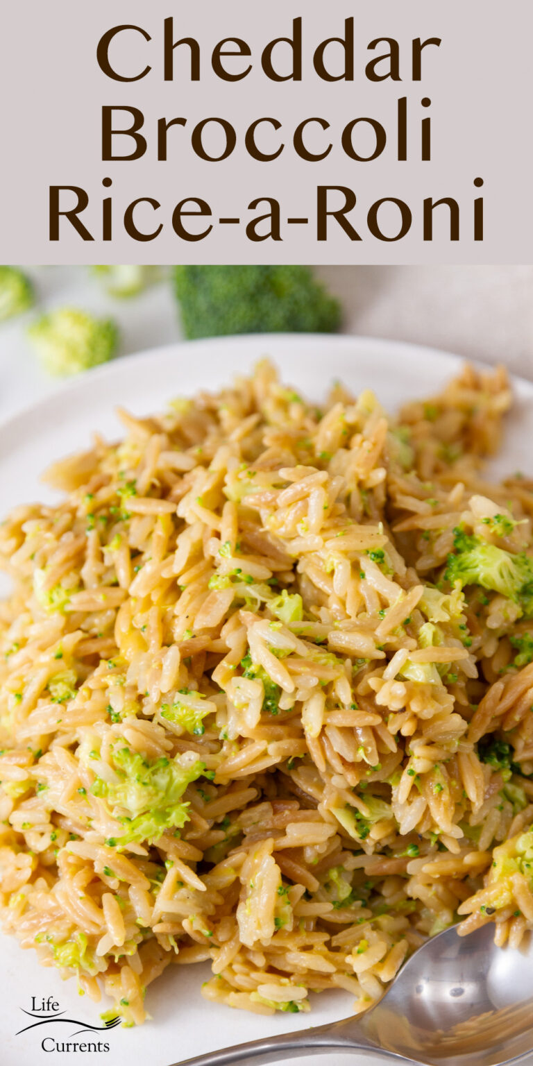 Christmas Rice A Roni Homemade Rice-a-Roni - Life Currents