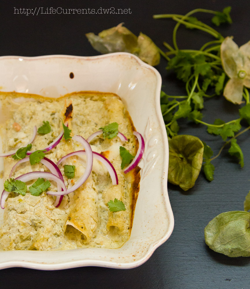 Island Trollers Tuna Enchiladas with tomatillos and green chile cream sauce | Life Currents Island Trollers Tuna Enchiladas with tomatillos and green chile cream sauce | Life Currents
