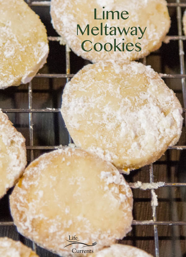 Lime Meltaway Cookies are perfect for a cookie exchange