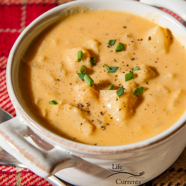 POTATO CHEESE SOUP copycat of Marie Callendar’s Potato cheese soup in a white bowl on a red plaid background with a spoon