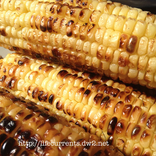 Grilled Corn on the Cob the essence of summer! ears of corn grilled