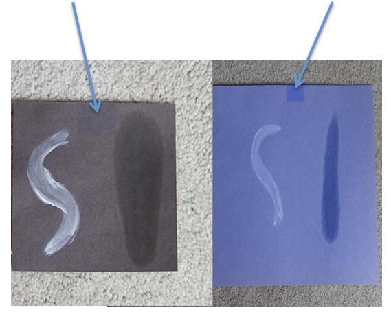 Homemade Sunscreen Test Life Currents https://lifecurrentsblog.com