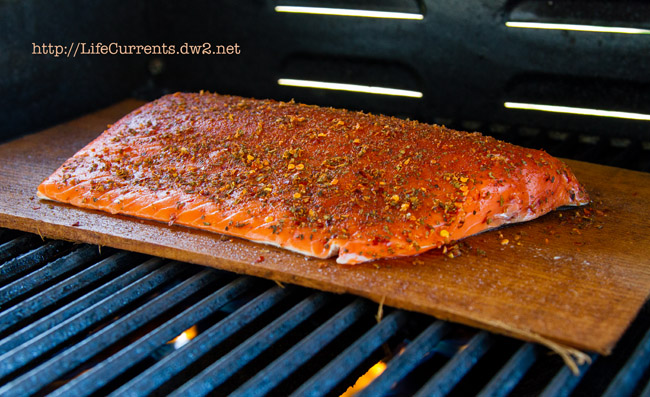 salmon on a cedar plank on the grill