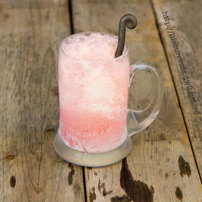 Lambic Ice Cream Float | Life Currents #dessert #iceCream #beverage #beer https://lifecurrentsblog.com