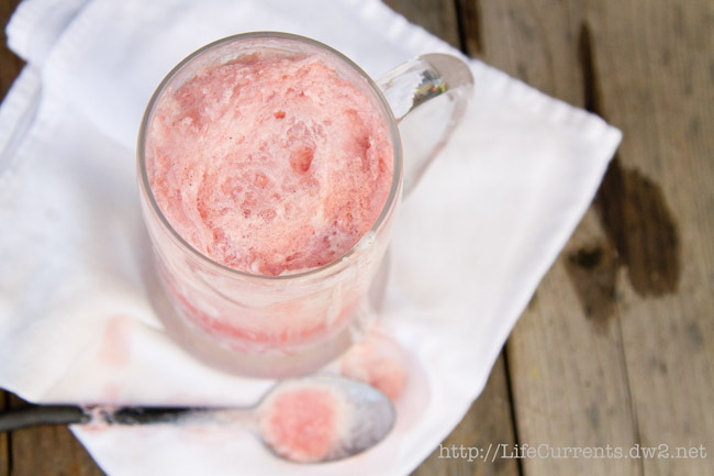 Lambic Ice Cream Float | Life Currents #dessert #iceCream #beverage #beer https://lifecurrentsblog.com