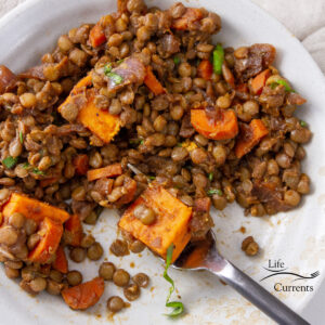 square crop of a bowl of lentils and sweet potatoes with a fork.