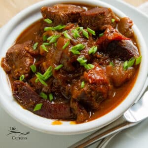 a white bowl filled with beef stew topped with green onions.