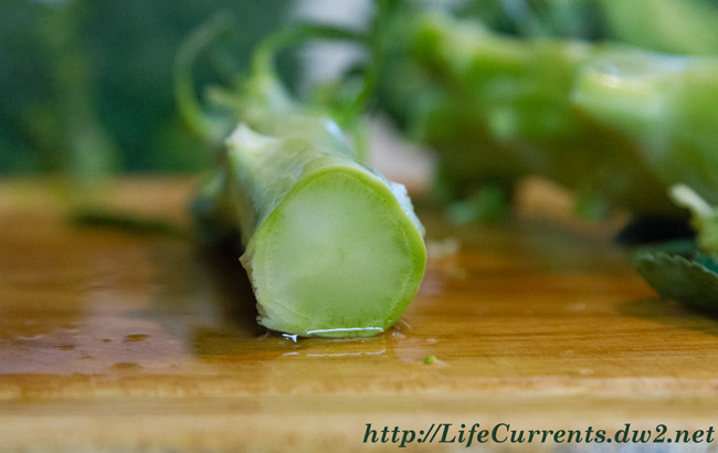 broccoli stalks for Shaved Broccoli Salad from Life Currents detox cleanse vegan vegetarian healthy gluten-free fresh https://lifecurrentsblog.com