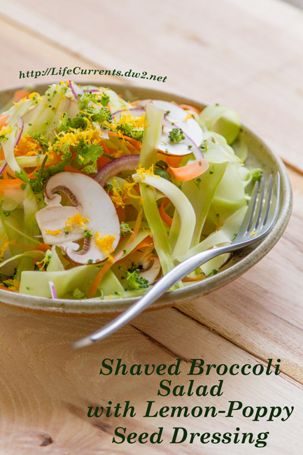 Shaved Broccoli Salad from Life Currents detox cleanse vegan vegetarian healthy gluten-free fresh https://lifecurrentsblog.com