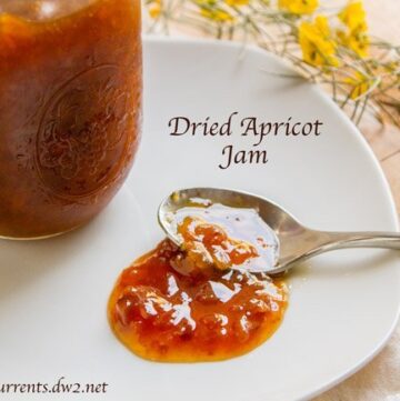 Dried Apricot Jam by Life Currents https://lifecurrentsblog.com