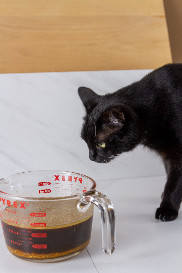black cat looking at a glass measuring cup with marinade in it.