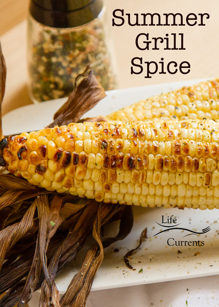 Summer Grill Spice Blend for all your summer BBQ needs! Summer Grill Spice Blend for all your summer BBQ needs!