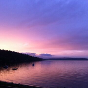 Whidbey Island Beauty & Things to do on Whidbey Island by Life Currents https://lifecurrentsblog.com